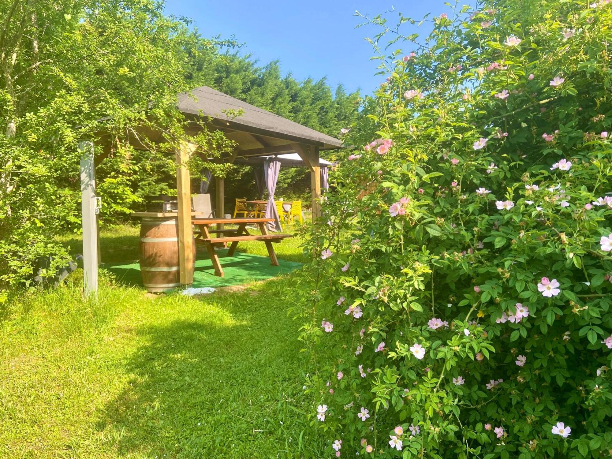 Ô Clair de Lune chambres d'hôtes climatisées à Sarlat - parking privé -piscine chauffée - espace bien-être avec Spa Sarlat-la-Canéda Exterior foto